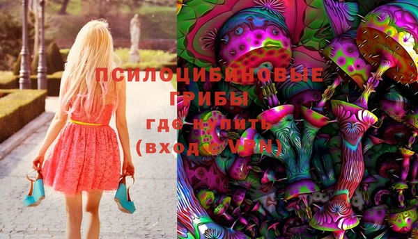 прущая мука Козловка