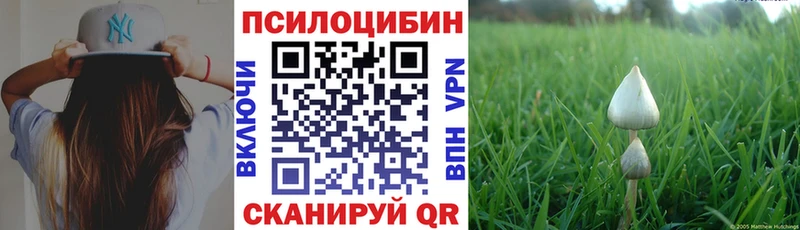 Галлюциногенные грибы GOLDEN TEACHER  Купить где  Ясногорск 